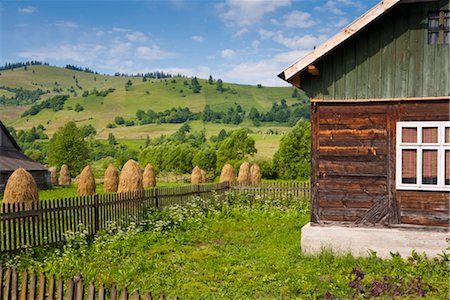 romania not people not animal - Près de Guru Humurului, la Bucovine, Roumanie, Europe Photographie de stock - Rights-Managed, Code: 841-03518220