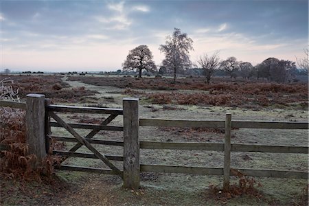 simsearch:841-03518607,k - Frosty morning during winter on the heath in the New Forest National Park, Hampshire, England, United Kingdom, Europe Foto de stock - Con derechos protegidos, Código: 841-03518606