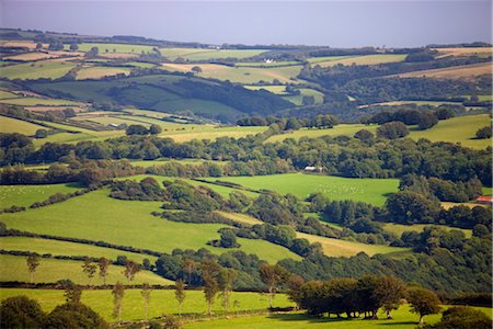 exmoor national park - Rolling green landscape in summertime, Exmoor National Park, Somerset, England, United Kingdom, Europe Foto de stock - Con derechos protegidos, Código: 841-03518644