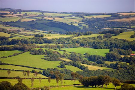 rolling countryside - Rolling green landscape in summertime, Exmoor National Park, Somerset, England, United Kingdom, Europe Stock Photo - Rights-Managed, Code: 841-03518644