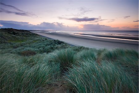 seagrass - Sand dunes at Murlough Nature Reserve, with views to Dundrum Bay, County Down, Ulster, Northern Ireland, United Kingdom, Europe Stock Photo - Rights-Managed, Code: 841-03518665