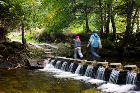 river scenes in ireland - Walkers crossing stepping stones over a cascading stream in Tollymore Forest Park, County Down, Ulster, Northern Ireland, United Kingdom, Europe Stock Photo - Rights-Managed, Code: 841-03518669