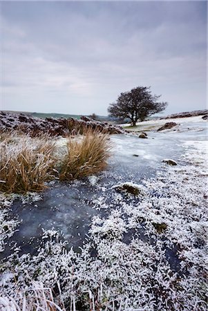 snowy river national park - Snow and ice on Porlock Common in winter, Exmoor National Park, Somerset, England, United Kingdom, Europe Stock Photo - Rights-Managed, Code: 841-03518704