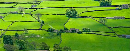 View across the Yorkshire Dales near Reeth in Swaledale, Yorkshire, England, United Kingdom, Europe Stock Photo - Rights-Managed, Code: 841-03518793