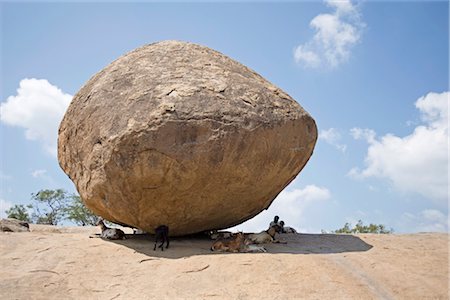 Goats and goatherd sheltering from the sun under Lord Krishna's butterball, a giant natural rock perched on a slope, Mamallapuram, Tamil Nadu, India, Asia Foto de stock - Con derechos protegidos, Código: 841-03518809