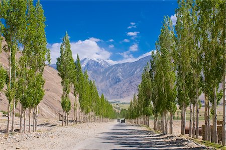 simsearch:841-02915137,k - Route de campagne avec arbre avenue, vallée de Wakhan (Tadjikistan), l'Asie centrale, Asie Photographie de stock - Rights-Managed, Code: 841-03520143