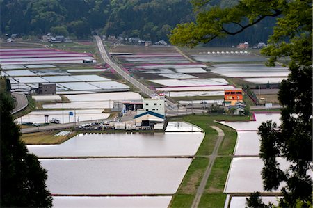 Flooded rice paddies in late April seen from atop Mount Kameyama in Fukui Prefecture, Japan Foto de stock - Con derechos protegidos, Código: 841-03520262