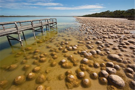 simsearch:841-02703810,k - Thrombolites, a variey of microbialite or living rock that produce oxygen and deposit calcium carbonate, similar to some of the earliest fossil forms of life found on Earth, Lake Clifton, Yalgorup National Park, Mandurah, Western Australia, Australia, Pacific Foto de stock - Con derechos protegidos, Código: 841-03520276