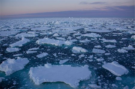 pack (bloc de glace) - Banquise à minuit, l'océan Austral, Antarctique, régions polaires Photographie de stock - Rights-Managed, Code: 841-03674021