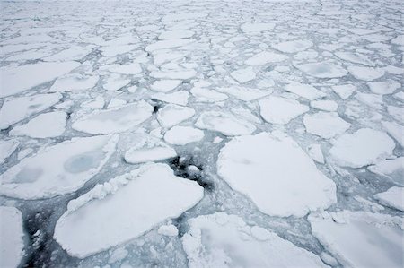 drifting - Ice floe, drift ice, Greenland, Arctic, Polar Regions Foto de stock - Con derechos protegidos, Código: 841-03674078