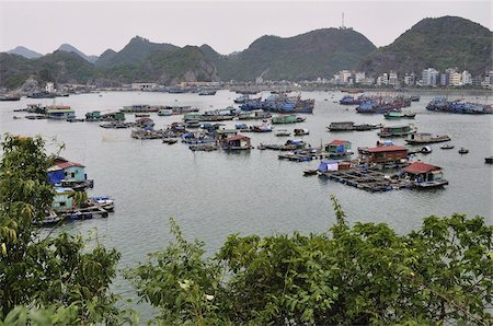 Floating village in Cat Ba Harbour, Cat Ba Island, Vietnam, Indochina, Southeast Asia, Asia Stock Photo - Rights-Managed, Code: 841-03674123