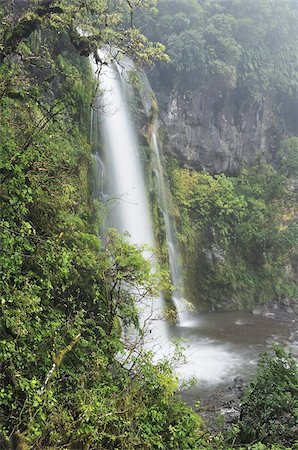 Dawson Falls, Mount Taranaki National Park (Mount Egmont National Park), Taranaki, North Island, New Zealand, Pacific Stock Photo - Rights-Managed, Code: 841-03674149