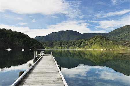 Penzance Bay, Tennyson Inlet, Marlborough Sounds, Marlborough, South Island, New Zealand, Pacific Foto de stock - Con derechos protegidos, Código: 841-03674192