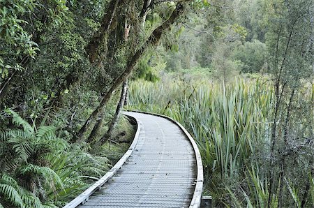 Chemin à travers la forêt tropicale, le Parc National de Westland Tai Poutini, patrimoine mondial de l'UNESCO, côte ouest, île du Sud, Nouvelle-Zélande, Pacifique Photographie de stock - Rights-Managed, Code: 841-03674237