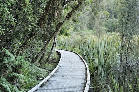 Path through rainforest, Westland Tai Poutini National Park, UNESCO World Heritage Site, West Coast, South Island, New Zealand, Pacific Stock Photo - Rights-Managed, Code: 841-03674237