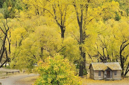 Miner's cottage, Arrowtown, Otago, South Island, New Zealand, Pacific Stock Photo - Rights-Managed, Code: 841-03674263