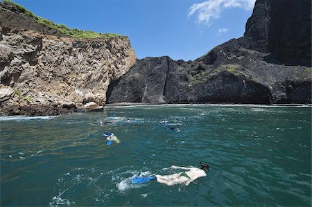 Snorkeling at Vincente Roca Point on Isla Isabela (Isabela Island), Galapagos Islands, UNESCO World Heritage Site, Ecuador, South America Stock Photo - Rights-Managed, Code: 841-03675144