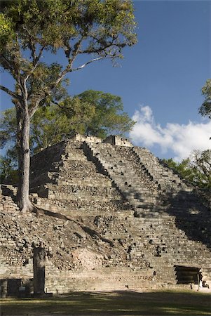 simsearch:832-03724270,k - Mound  No.16, West Court, Copan Archaeological Park, UNESCO World Heritage Site, Copan, Honduras, Central America Foto de stock - Con derechos protegidos, Código: 841-03675314