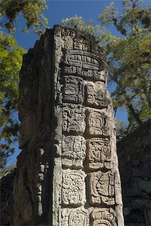 Mayan glyphs on the side of Stela P, West Court, Copan Archaeological Park, Copan, UNESCO World Heritage Site, Honduras, Central America Foto de stock - Direito Controlado, Número: 841-03675337