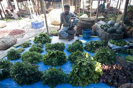 simsearch:841-03870259,k - Green leaf vegetable and herb seller waiting for customers in early morning market on the banks of the Brahmaputra river, Guwahati, Assam, India, Asia Stock Photo - Rights-Managed, Code: 841-03675401