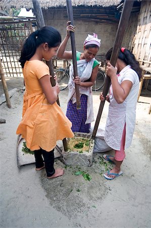 Assamesisch Stammes-Dorffrauen, Mutter und Töchter, hinterlässt vernichtende Kraut in inländischen Steinmühle Majuli Island, Assam, Indien, Asien Stockbilder - Lizenzpflichtiges, Bildnummer: 841-03675453