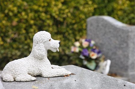 Asnieres animal cemetery, Asnieres, Hauts de Seine, France, Europe Stock Photo - Rights-Managed, Code: 841-03675752