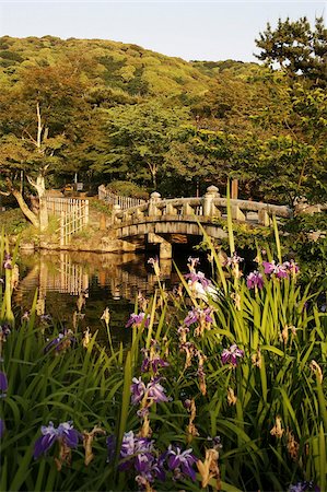 simsearch:841-03676935,k - Mayurama parc jardin, Kyoto, Japon, Asie Photographie de stock - Rights-Managed, Code: 841-03675828