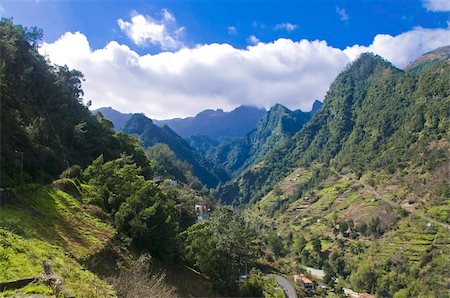 Mountain scenery, Madeira, Portugal, Europe Foto de stock - Con derechos protegidos, Código: 841-03676121