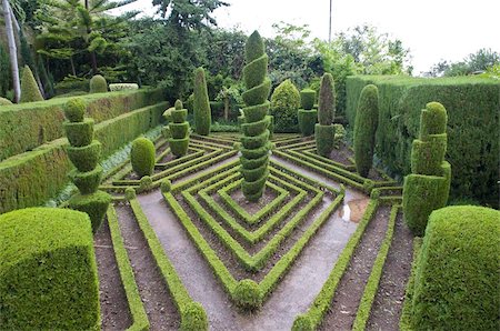 regiao autonoma da madeira - Topiary in formal garden, Botanical Garden, Funchal, Madeira, Portugal, Europe Stock Photo - Rights-Managed, Code: 841-03676171