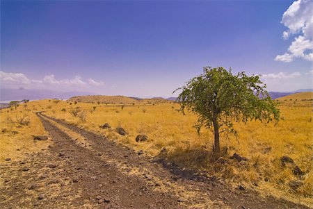 simsearch:841-03034184,k - Route menant dans le Parc National de Nechisar, Ethiopie, Afrique Photographie de stock - Rights-Managed, Code: 841-03676183