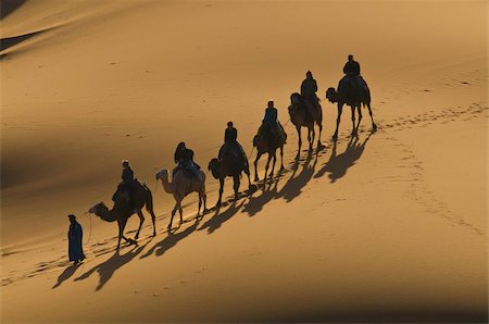 sand hill - Camel caravan riding through the sand dunes of Merzouga, Morocco, North Africa, Africa Stock Photo - Rights-Managed, Code: 841-03676225