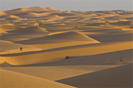 sand dunes at sunset - Sand dunes at sunset, near Chinguetti, Mauritania, Africa Stock Photo - Rights-Managed, Code: 841-03676302