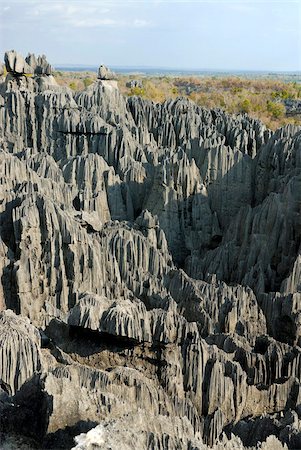simsearch:841-03502438,k - Coral formations, Tsingy de Bemaraha, UNESCO World Heritage Site, Madagascar, Africa Stock Photo - Rights-Managed, Code: 841-03676758