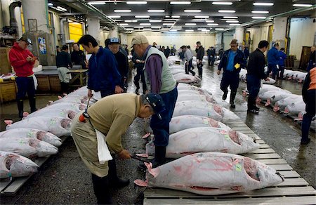 Buyer checking tuna quality at Tsukiji Wholesale Fish Market, the world's largest fish market in Tokyo, Japan, Asia Stock Photo - Rights-Managed, Code: 841-03676945