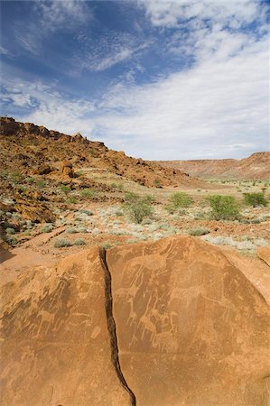 simsearch:841-03676270,k - Dessins anciens (pétroglyphes) sur le rocher de grès, datant de 6000 ans à l'âge de Pierre, des chameaux et également des animaux que ne se trouve plus dans la région de Twyfelfontein, patrimoine mondial de l'UNESCO, Namibie, Afrique Photographie de stock - Rights-Managed, Code: 841-03677139