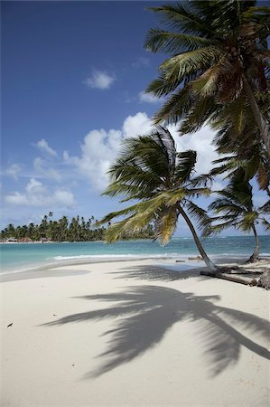 sand island - Sandy plage des palmes sur Dog Island, îles de San Blas, Panama, l'Amérique centrale Photographie de stock - Rights-Managed, Code: 841-03677169