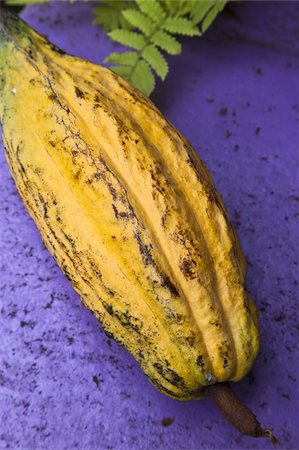 simsearch:841-02946335,k - Yellow cacao pod against a blue background Fotografie stock - Rights-Managed, Codice: 841-03677175