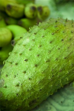 prickly - Soursop (Annona muricata), a fruit grown in the Caribbean, Central America Stock Photo - Rights-Managed, Code: 841-03677177