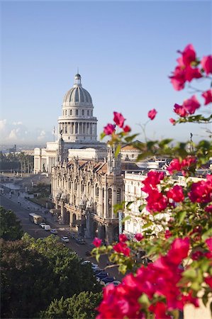 street in havana cuba - Bougainvillea flowers in front of The Capitolio building, Havana, Cuba, West Indies, Central America Stock Photo - Rights-Managed, Code: 841-03677184