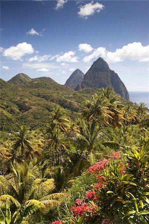 st lucia - The tropical lushness of the island with the Pitons in the rear in Soufriere, St. Lucia, Windward Islands, West Indies, Caribbean, Central America Stock Photo - Rights-Managed, Code: 841-03677191