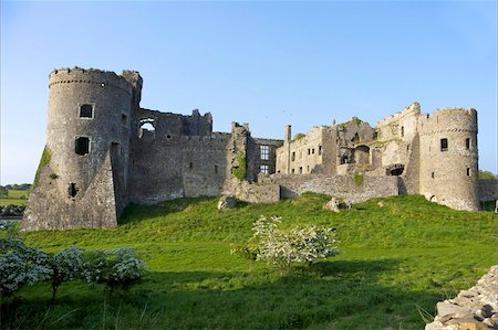 pembrokeshire - Carew ruined castle in spring sunshine, Pembrokeshire National Park, West Wales,Wales, United Kingdom, Europe Fotografie stock - Rights-Managed, Codice: 841-03677557