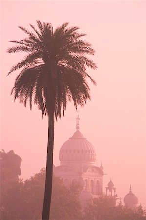 delhi - La silhouette brumeuse au lever du soleil de la Dam Gurdwar Dama Sahib, un temple Sikh à partir de Humayun jardin de, Delhi, Inde, Asie Photographie de stock - Rights-Managed, Code: 841-03672239