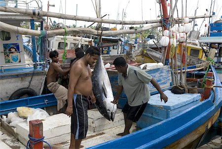 Fishing harbour, built with US Aid after the 2004 Asian tsunami, Purunawella, east of Galle, south coast of Sri Lanka, Asia Stock Photo - Rights-Managed, Code: 841-03672364