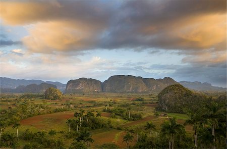 simsearch:841-03868266,k - View of Vinales Valley at dawn from grounds of Hotel Los Jasmines showing limestone hills known as Mogotes  characteristic of the region, near Vinales, Pinar Del Rio, Cuba, West Indies, Central America Foto de stock - Con derechos protegidos, Código: 841-03672432