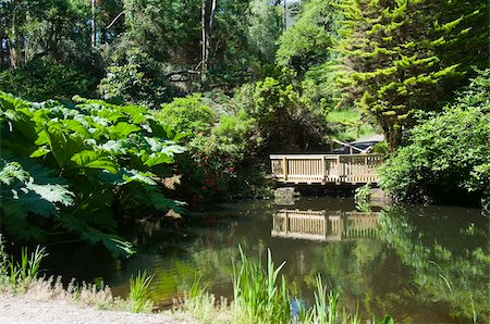 pond garden - Botanical Gardens at Kells, Ring of Kerry, County Kerry, Munster, Republic of Ireland, Europe Stock Photo - Rights-Managed, Code: 841-03672564