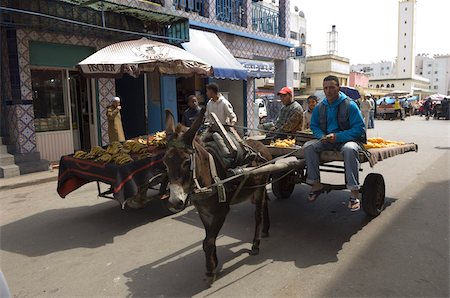 Donkey and cart, Casablanca, Morocco, North Africa, Africa Foto de stock - Con derechos protegidos, Código: 841-03672595