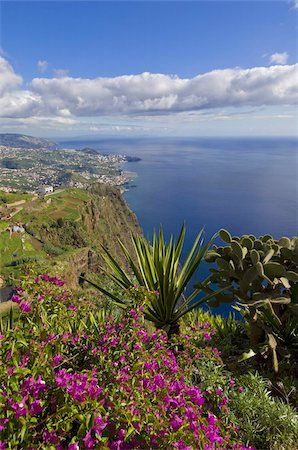 Looking towards Funchal from Cabo Girao, 580m, one of the world's highest sea cliffs on the south coast of the island of Madeira, Portugal, Atlantic, Europe Foto de stock - Con derechos protegidos, Código: 841-03672697