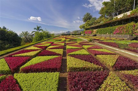 Formal gardens in the Botanical gardens (Jardim Botanico), above Funchal, Madeira, Portugal, Europe Foto de stock - Con derechos protegidos, Código: 841-03672701