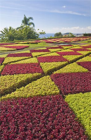Formale Gärten in den Botanischen Garten (Jardim Botanico), oberhalb von Funchal, Madeira, Portugal, Europa Stockbilder - Lizenzpflichtiges, Bildnummer: 841-03672702