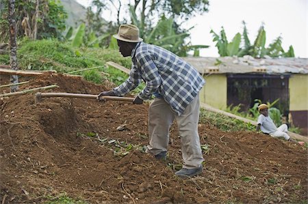 digging - Farmer preparing his field, Kenscoff Mountains above Port au Prince, Haiti, West Indies, Caribbean, Central America Foto de stock - Con derechos protegidos, Código: 841-03672745